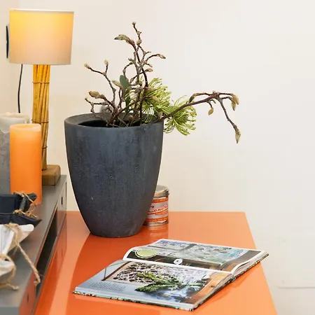 Bilocale Con Spazio Esterno Con Stazione 5' *